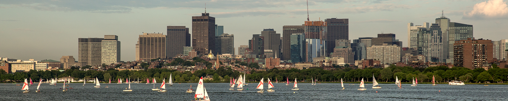 Link to Suffolk pre arrival information page 